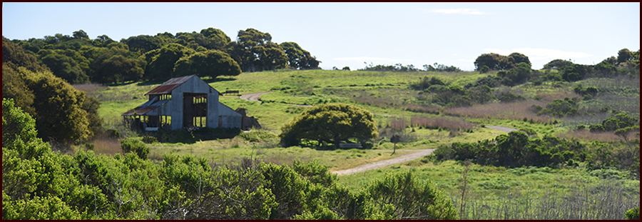 Footer image - Down Where the River Meets the Road Footer image - Down Where the River Meets the Road