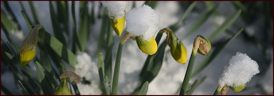 Eighteen Hundred and Froze to Death header