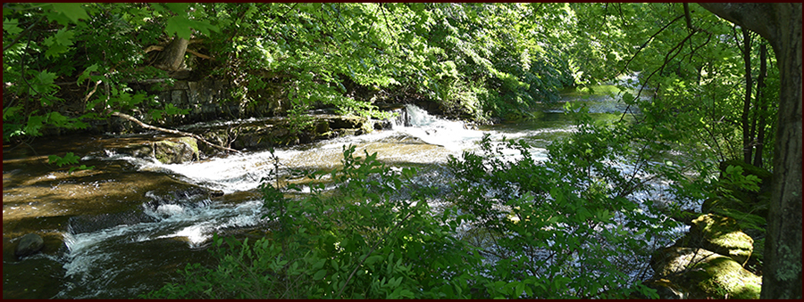 Footer image - Here’s to the Rocky Road Footer image - Here’s to the Rocky Road
