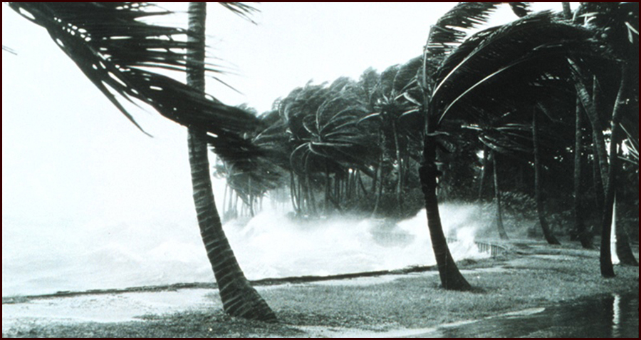 About the Song: Hurricane