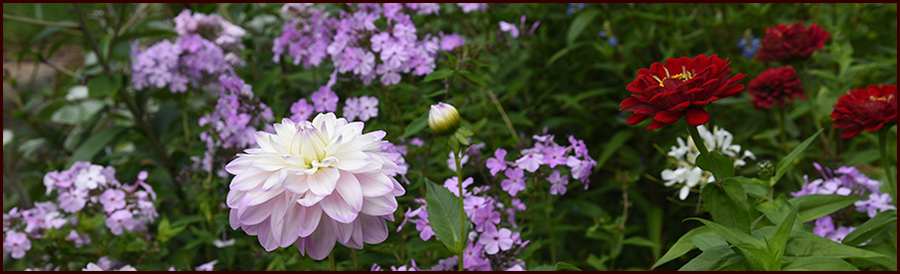 Footer image - I Will, I Do Footer image - I Will, I Do