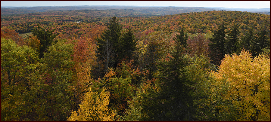 Footer image - Margery Grey Footer image - Margery Grey