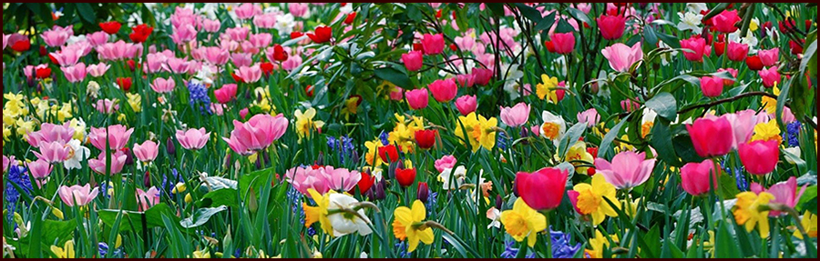 About the Song: No Pronuncies Mi Nombre