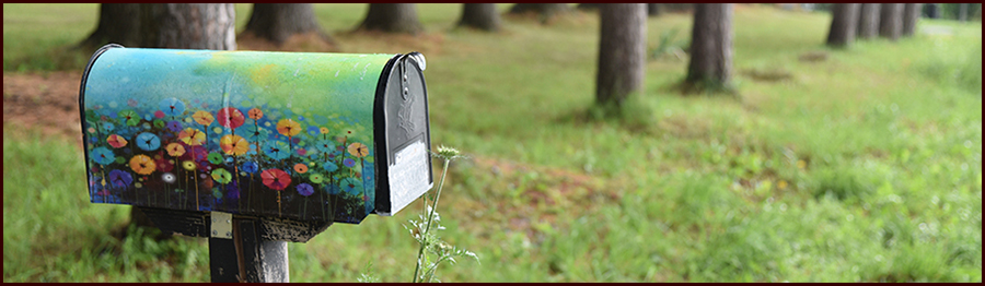 A Number and a Name header