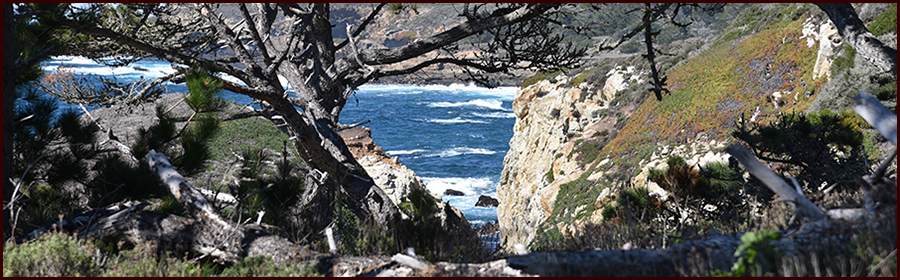 Footer image - She's Not You Footer image - She's Not You