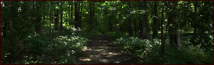 About the Song: The Erl King