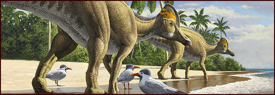 Their Brains Were Small and They Died header