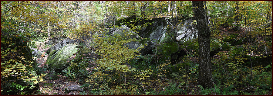 Footer image - Home by Dark Footer image - Home by Dark