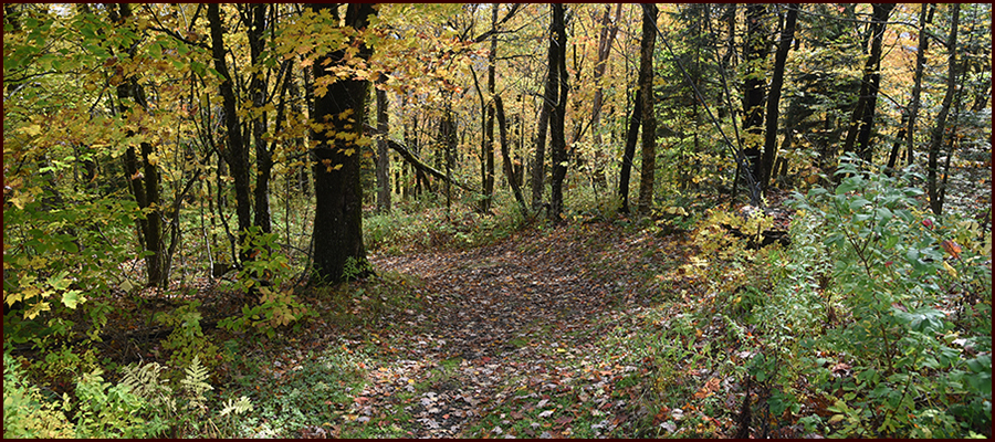 The Old Trail header