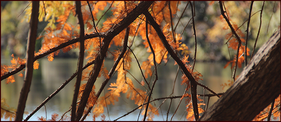 Footer image - The River Footer image - The River