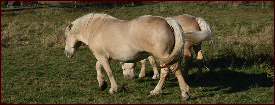 Footer image - The Ways of the World Footer image - The Ways of the World