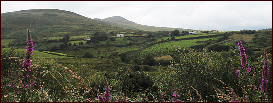 Footer image - Tír na nÓg Footer image - Tír na nÓg