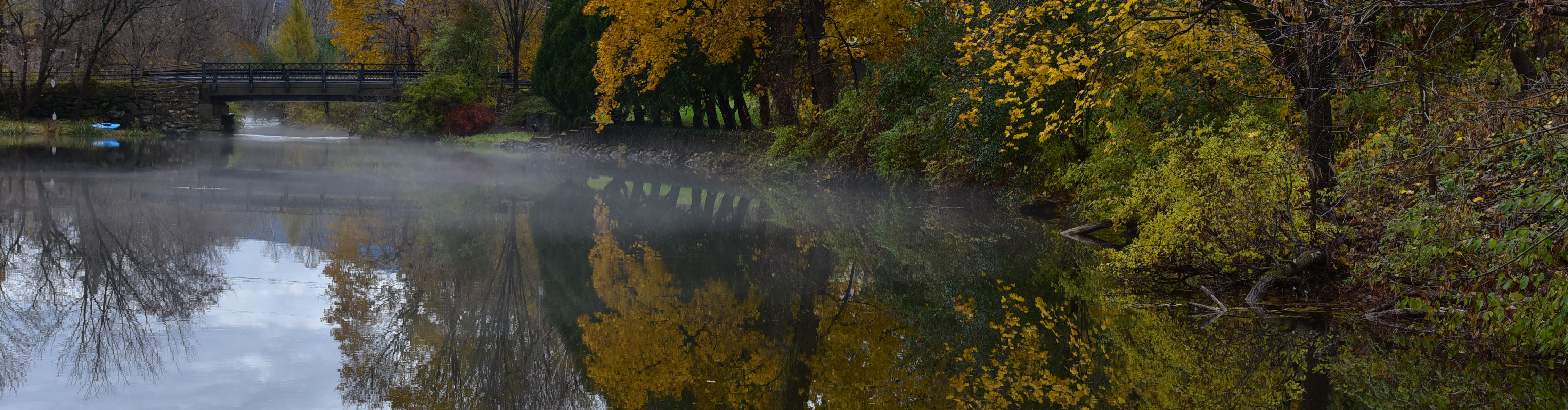 Footer image - more leaves Footer image - more leaves