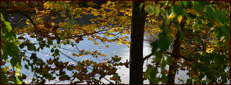 When the First Leaves Fall header